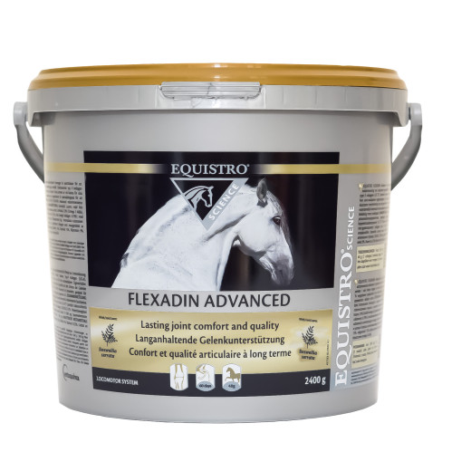 Equistro flexadin advanced