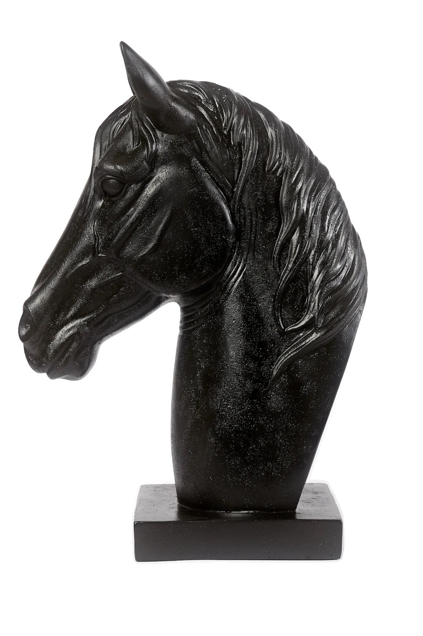 Mondeui Black Horse Bust Adamsbro