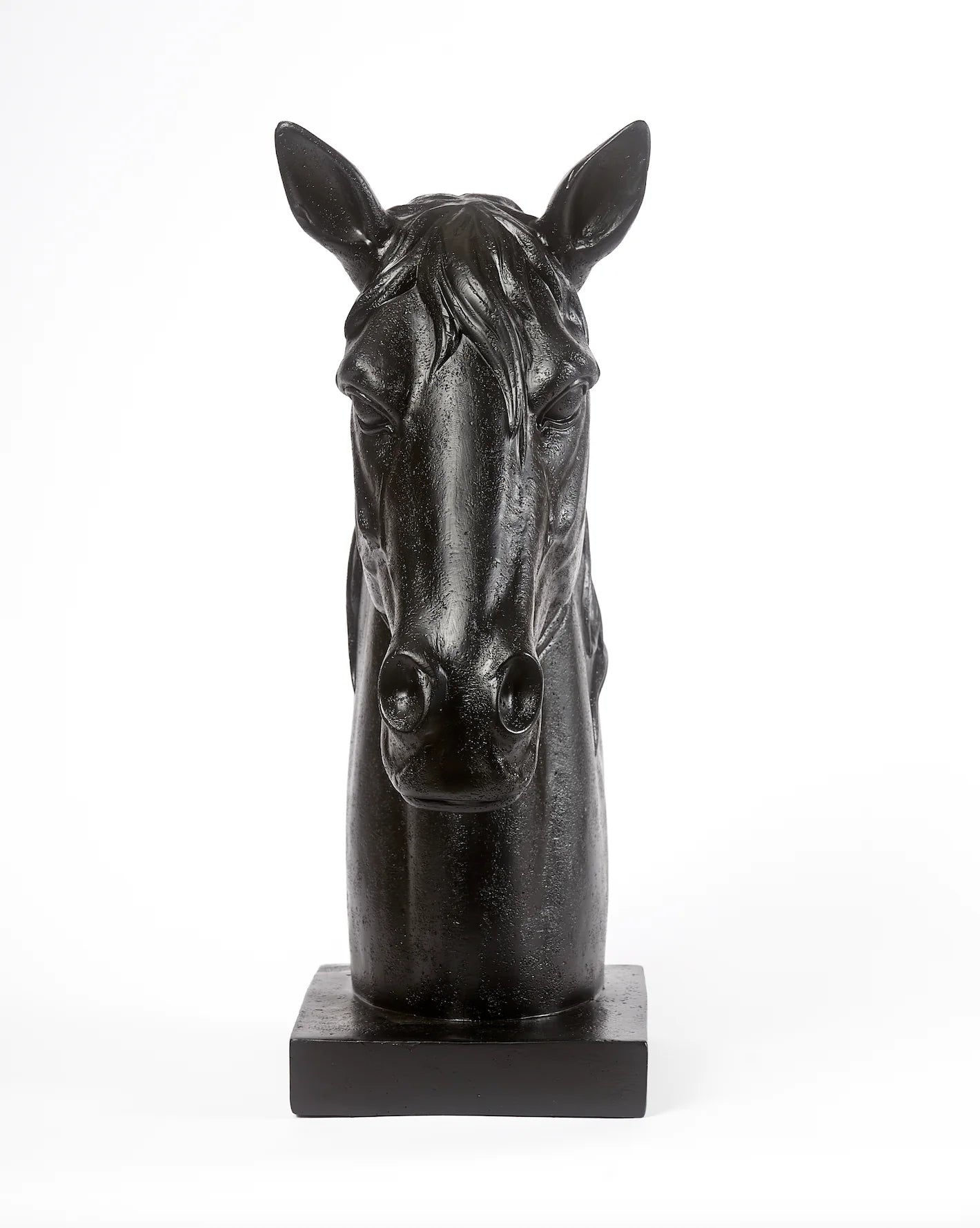 Mondeui Black Horse Bust Adamsbro