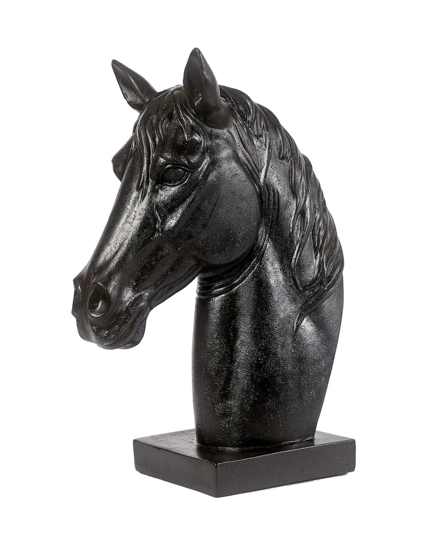 Mondeui Black Horse Bust Adamsbro