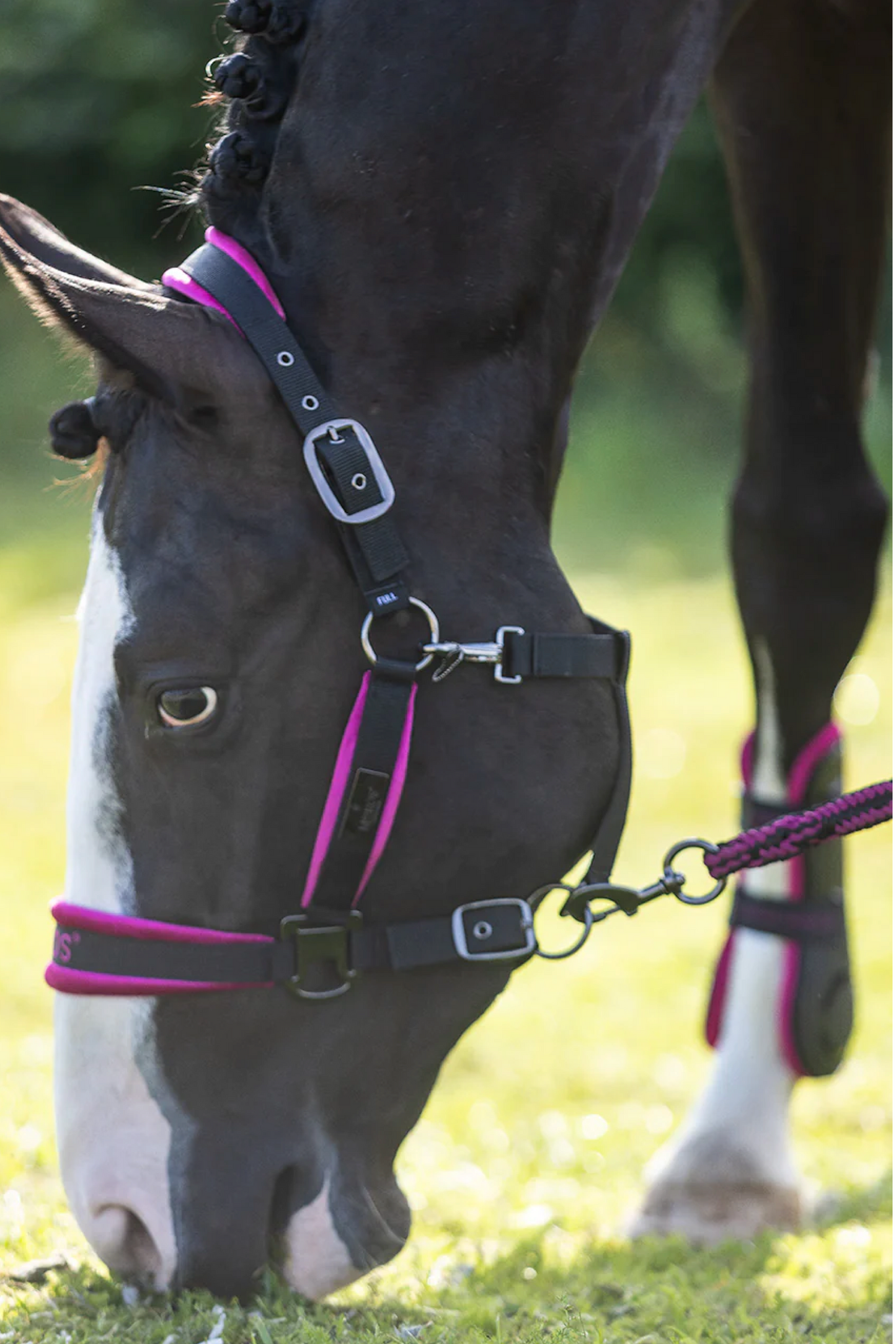 Set Licols et longe Mrs Ros fuchsia